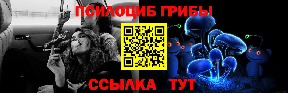 Галлюциногенные грибы Psilocybe Донецк